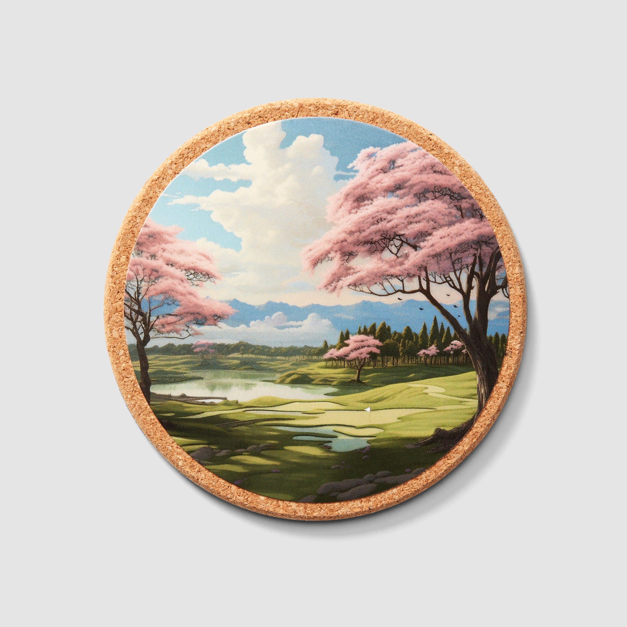 Destination Coasters